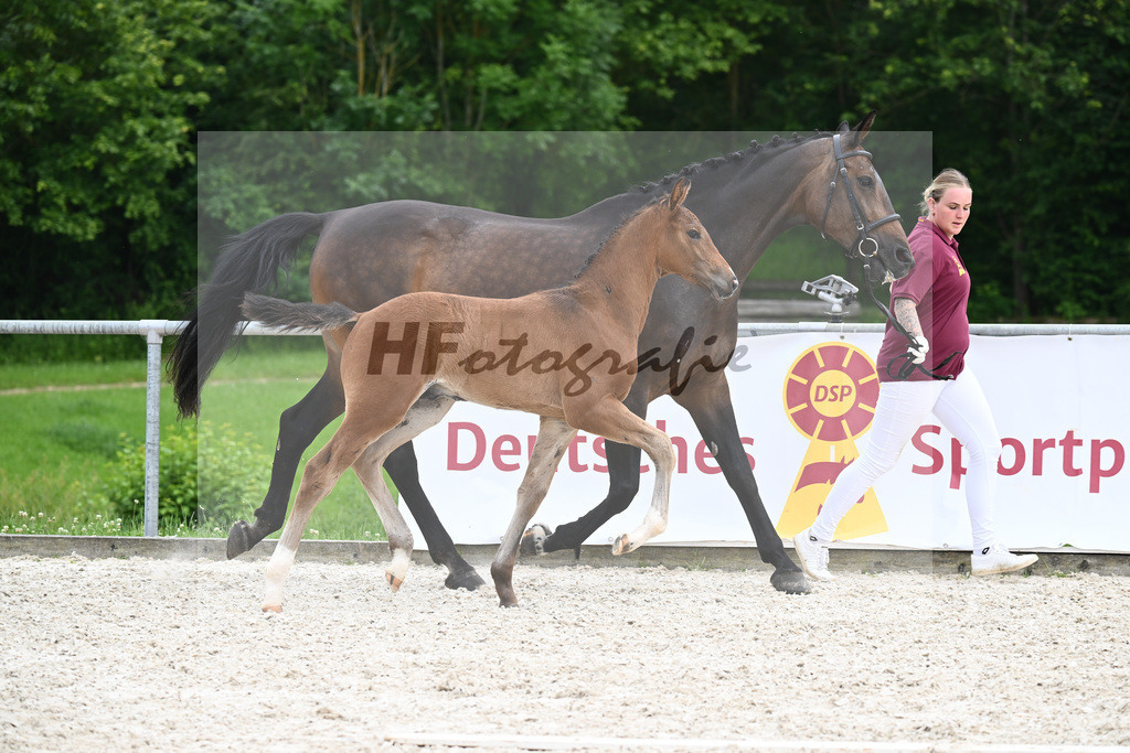 Conthalou x Catoki_HF_Lanzinner_20240853 | hf-fotografie - Realizzato con Pictrs.com