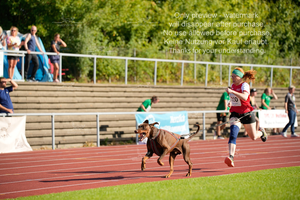 Sonntag_Staffel (152 von 336) | stephaniefillaphotographie - Realisiert mit Pictrs.com