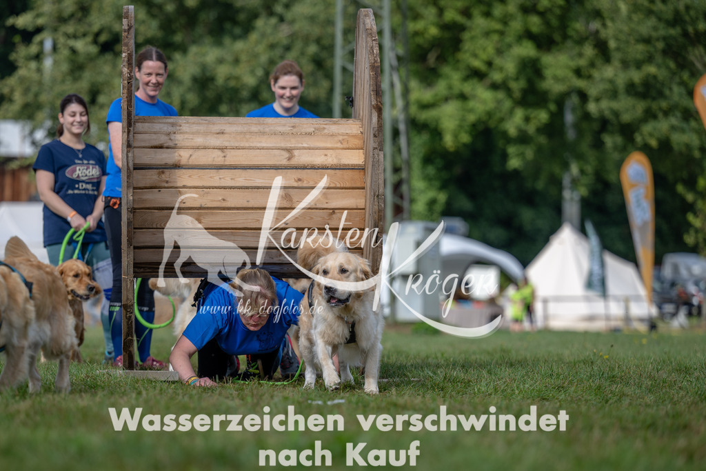 1039_ZZ92919 | kk-dogfotos