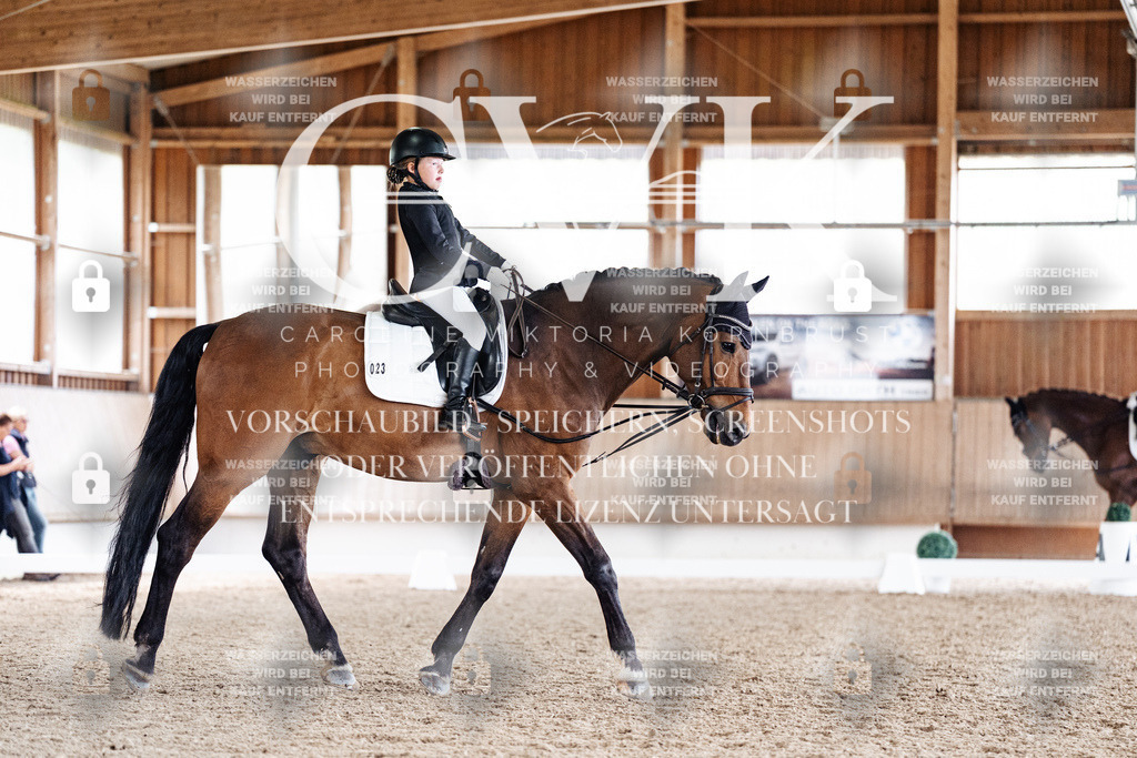 CK900799 | Turnierfotografie Pferdefotografie Trier Rheinland-Pfalz Pferdesport Reitsport Tierfotografie Sportfotografie Pferdevideo Pferdevideografie Equestrianvideography equestrianphotography  - Realisiert mit Pictrs.com