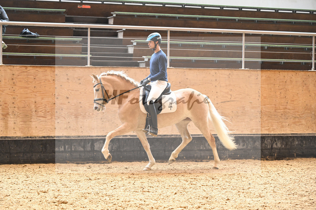 Kat-Nr. 4 Finja_Oswald_6222117 | hf-fotografie - Realisiert mit Pictrs.com