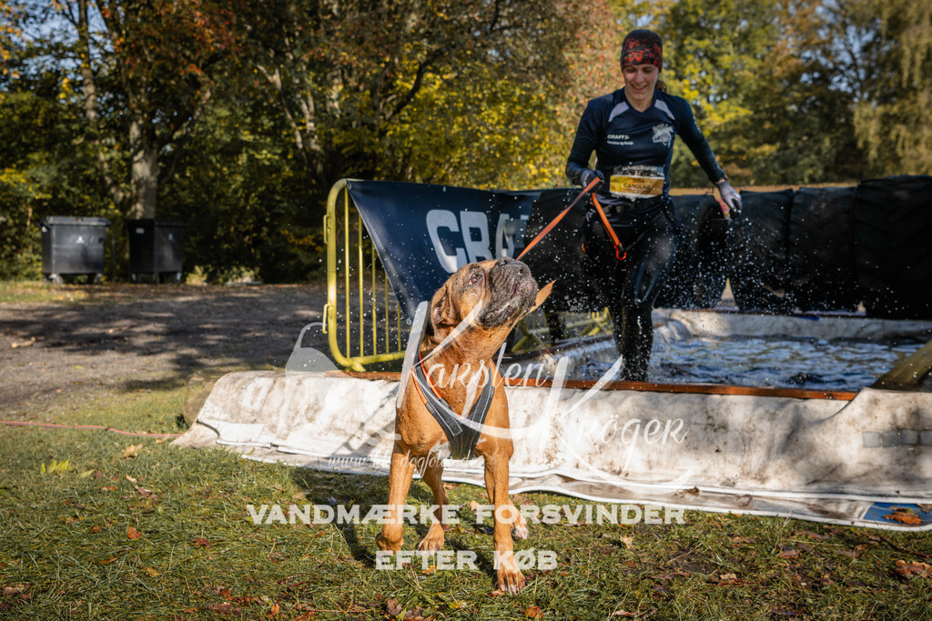 1103_ZZ93133 | kk-dogfotos