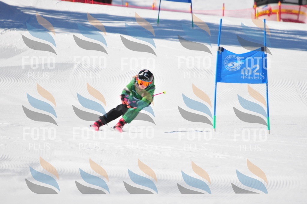 C2267 | holidayphoto