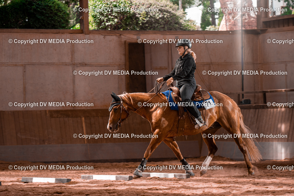 NE100546 | dv-media-shop - Realisiert mit Pictrs.com