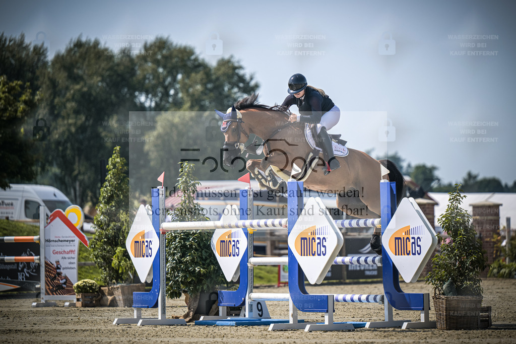 DOS_3124 | Entdecke hochwertige Reitturnierfotos von Foto Oger. Professionell, emotional und authentisch – jetzt Lieblingsmomente im Shop bestellen. - Realisiert mit Pictrs.com
