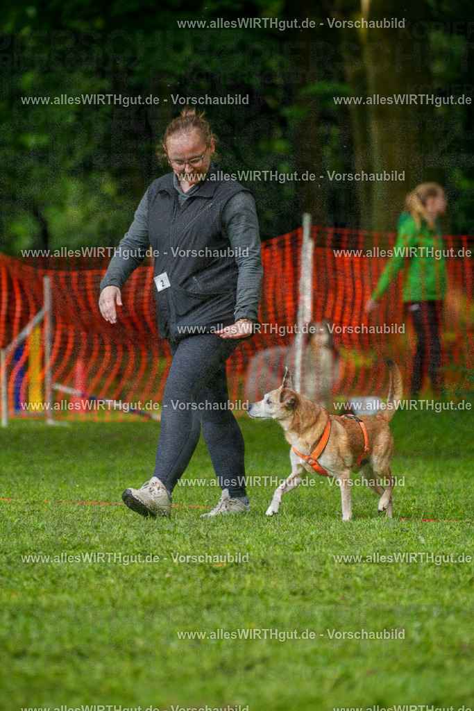 @allesWIRTHgut_Tierfotografie - www.allesWIRTHgut.de - 7R502005 | Professionelle Tierfotografie in Mönchengladbach von Daniel Wirth (allesWIRTHgut). Liebevolle & natürliche Bilder von Hunden & Katzen für unvergessliche Erinnerungen.