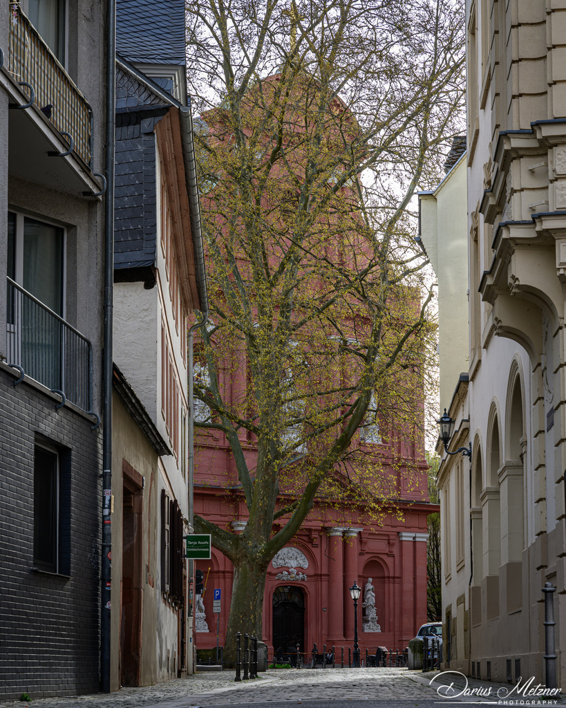 DSC_9341 | Fotografien, Fotos und Bilder aus Mainz, Frankfurt, Wiesbaden und anderen Orten auf der Welt - Fotografiert von Darius Metzner