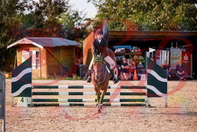 2026_10_03_Siefer-Hof_161037_Z81_90223088 | Professionelle Reitsport-, Turnier- und Eventfotografie von Robert Broda. Galerien mit ausgewählten und bearbeiteten Bildern direkt online ansehen und bestellen.