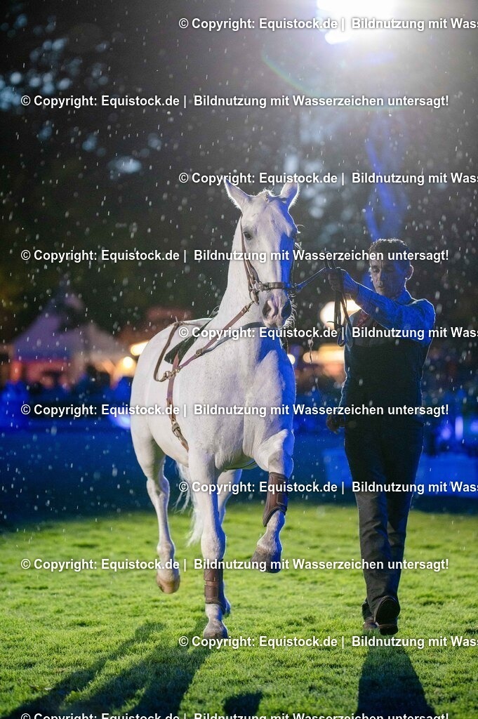 20250606_Lange-Pferdenacht_1104 | Foto: Thomas Hartig