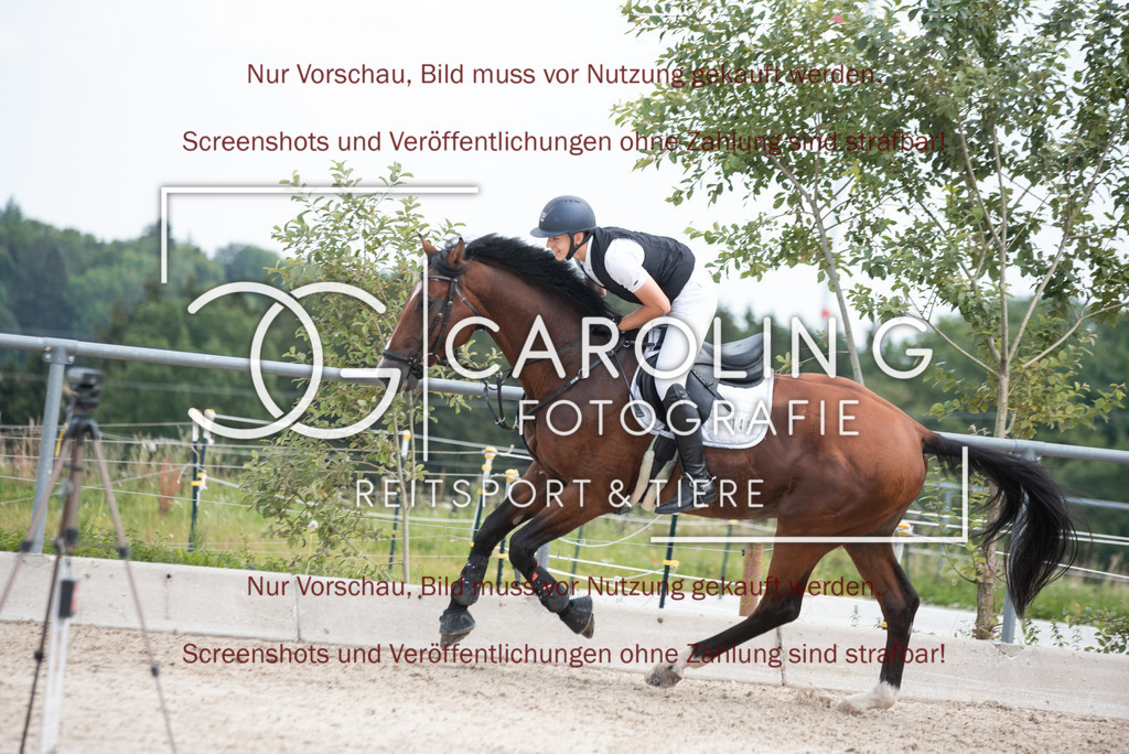 DSC_0646 | Turnierfotografin Carolin Gieschke, Turnierfotografie Carolin G Fotografie, Turnierfotos Kirchheim/Teck, Esslingen, Stuttgart, Bodenseekreis