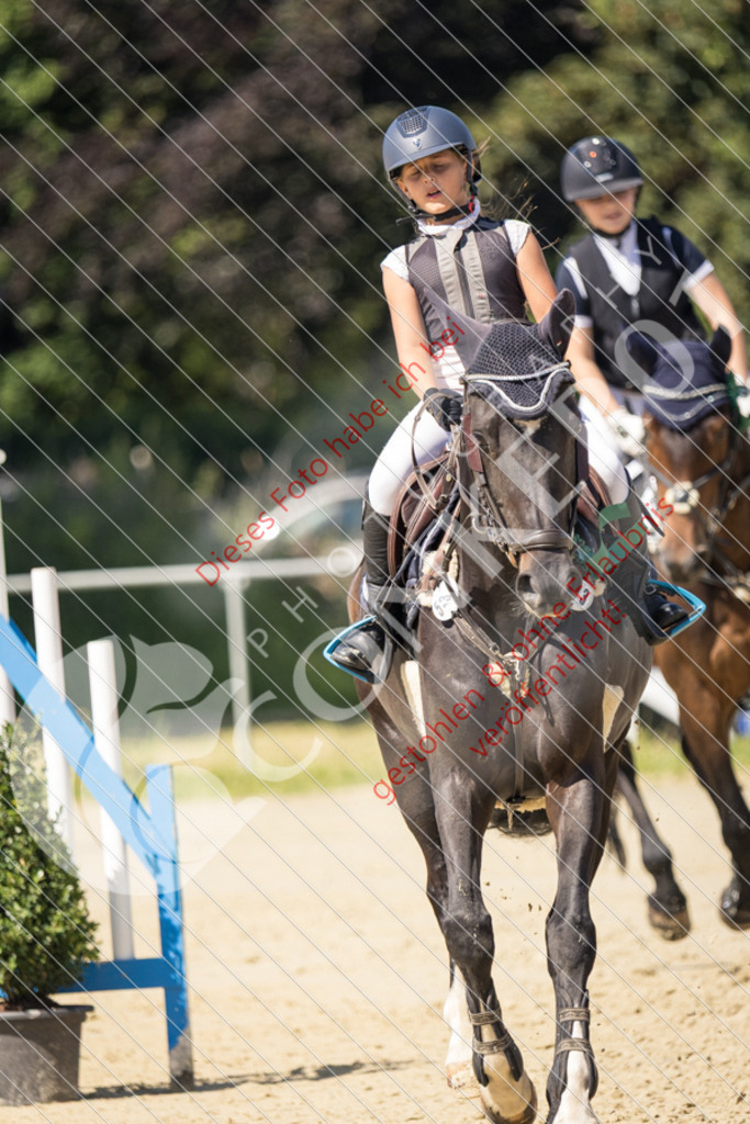 IMG_3636 | Sport-, Event- und Tierfotos in Profiqualität. Einfach auswählen, bestellen und herunterladen. Dein Moment – perfekt festgehalten.