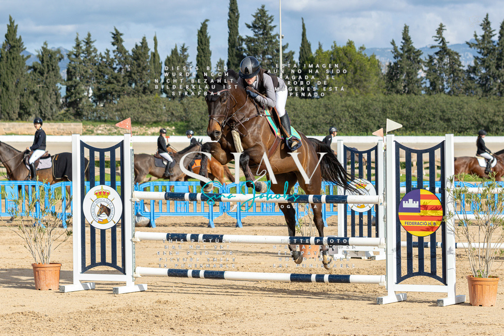 IMG_1929 | s-jay-photography - Realisiert mit Pictrs.com