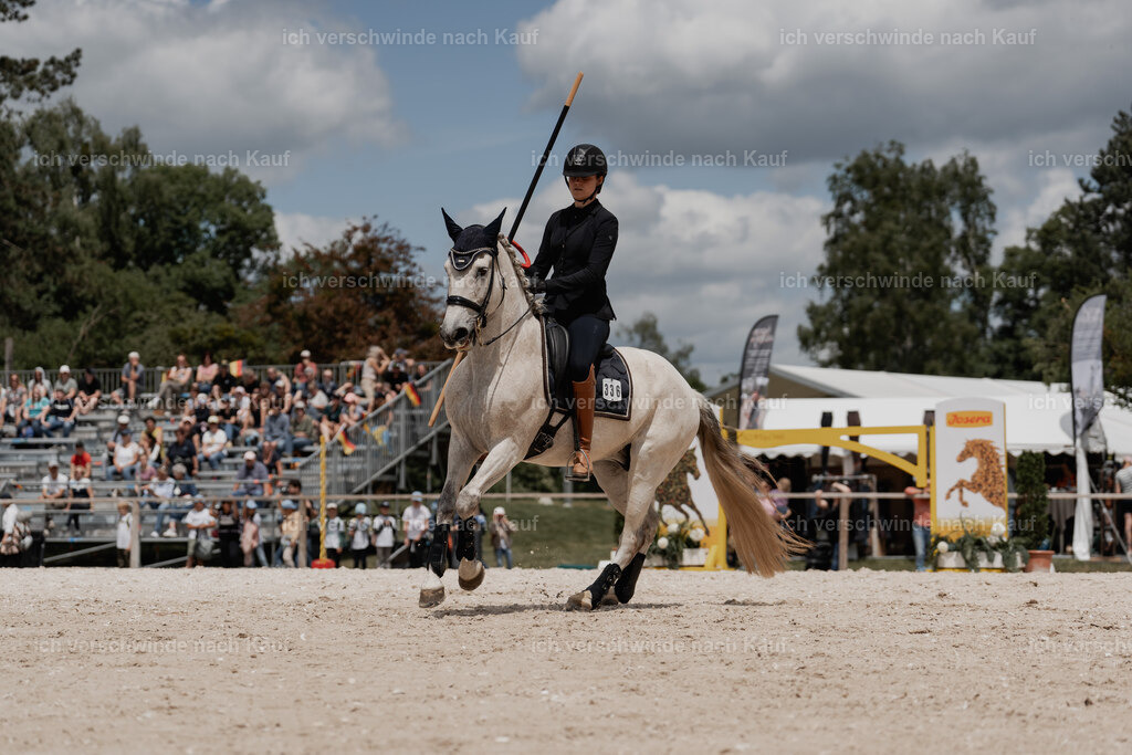 WE_ST_Stoib_336_PI2025_1123 | Pferd International München 2025