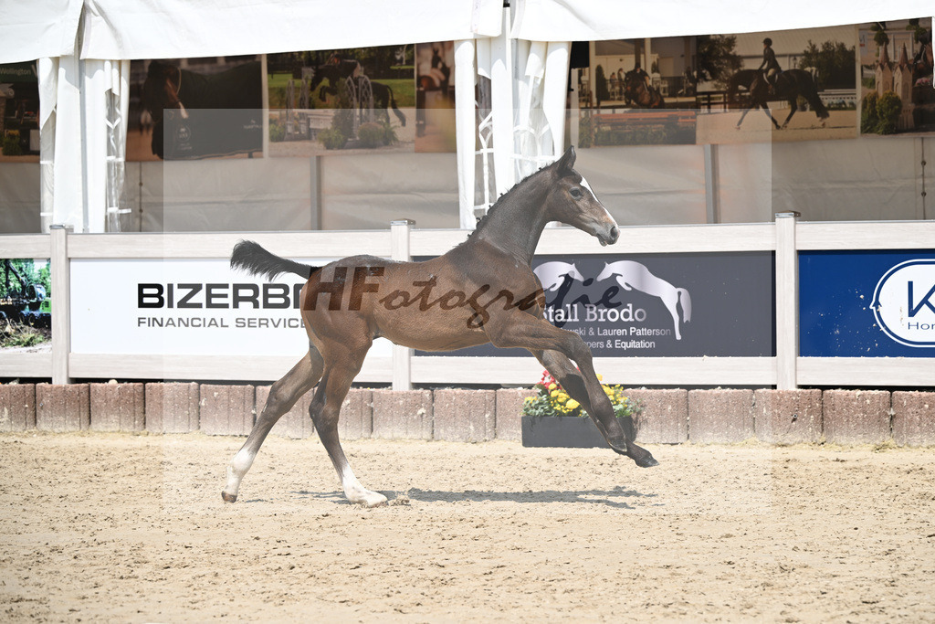 Cornets Balou x Casall_Gross_12250718 | hf-fotografie - Realizzato con Pictrs.com