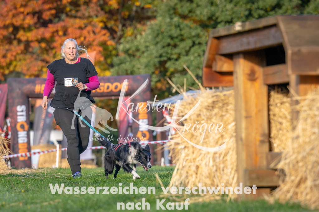 0915_ZZ90234 | kk-dogfotos