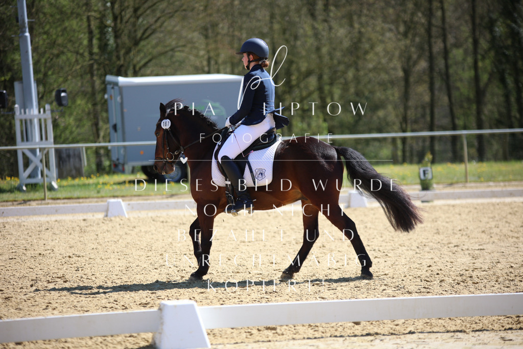 IMGT7670 | pl-fotografie