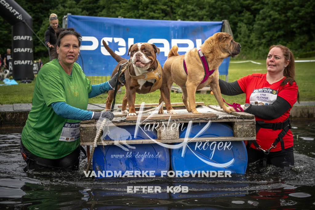 1004_ZZ93943 | kk-dogfotos