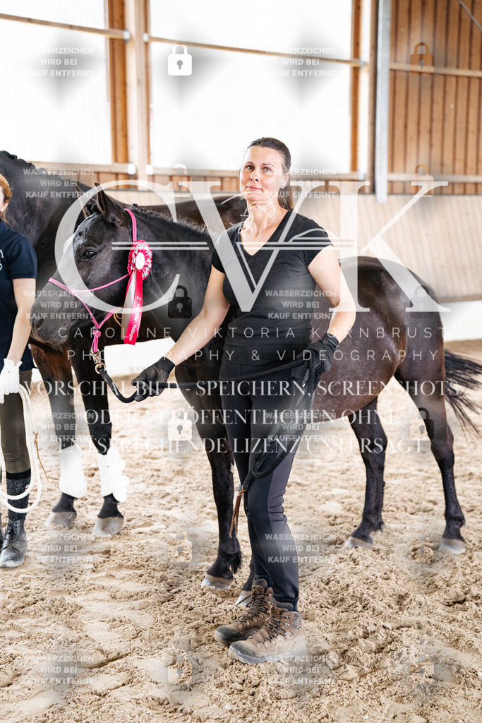 CK703278 | Turnierfotografie Pferdefotografie Trier Rheinland-Pfalz Pferdesport Reitsport Tierfotografie Sportfotografie Pferdevideo Pferdevideografie Equestrianvideography equestrianphotography  - Realisiert mit Pictrs.com