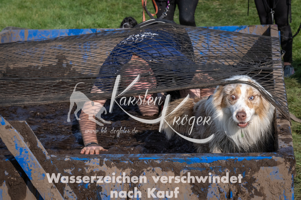 1641_ZZ92783 | kk-dogfotos