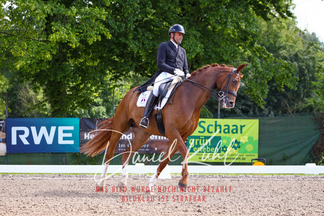 DKP41321 | Turnierfotos kaufen im Webshop von Daniel Kuhl Photography – entdecke professionelle Reitsportfotos aus Turnieren & Events. Hochwertige Turnierbilder online bestellen & sichern. Jetzt Fotos von Reitsportturnieren kaufen!