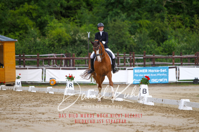 DKP47221 | Turniersportfotografie; Pferdefotografie; Dressurfotografie