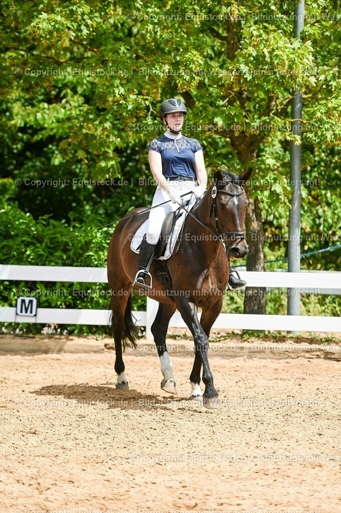 20230715_05_Dressurprüfung Kl.A++_0353 | equistock
