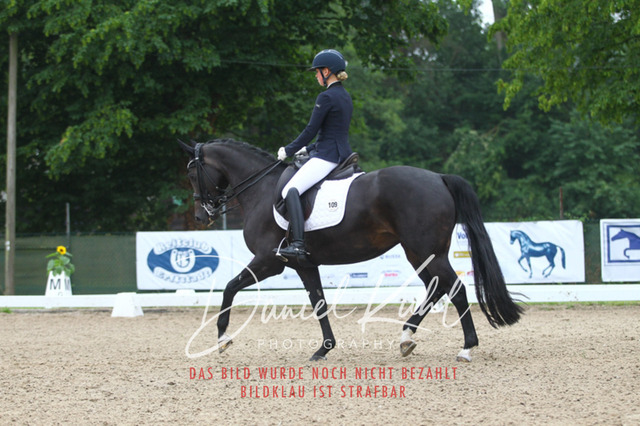 DKP40217 | Turniersportfotografie; Pferdefotografie; Dressurfotografie