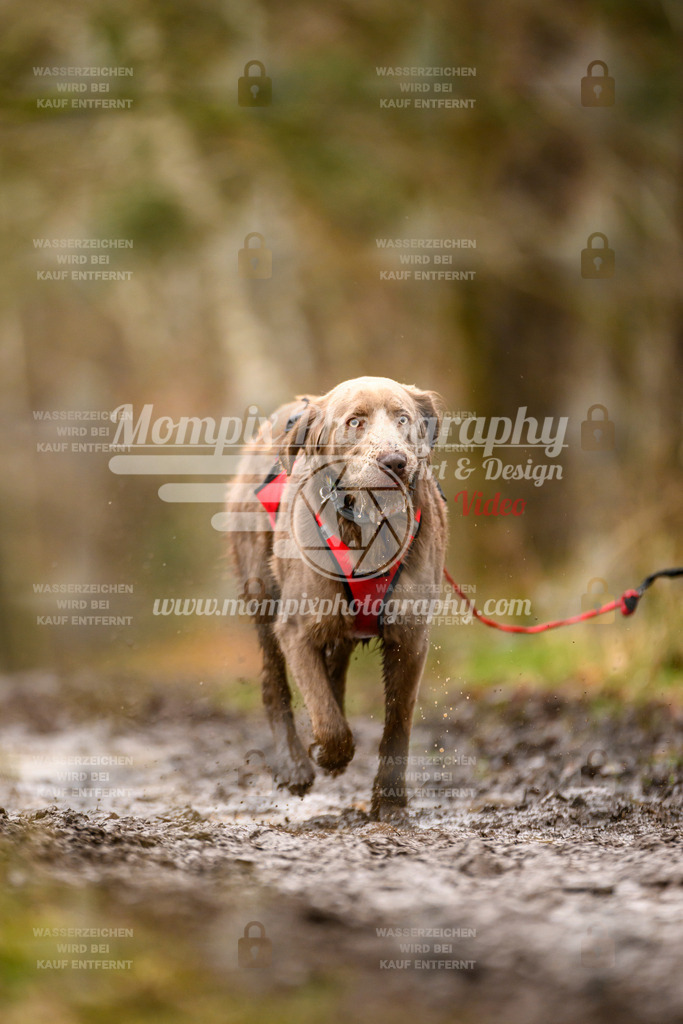 MompixPhotography_CDSM24_SA_CCS-208 | PayLife