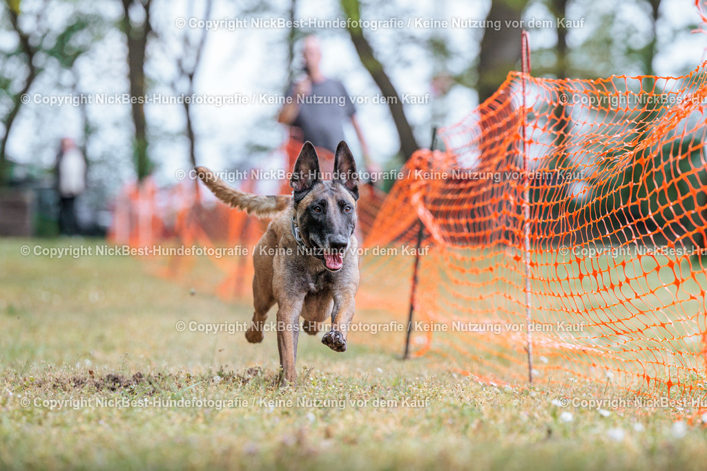 Sage Hunderennen Frühlingsfest-2026-Nickbest-Hundefotografie-0361 | Dein Hund! Dein Moment! Deine Erinnerungen! Hundefotografie in Bremen Blumenthal. Ich fange die besonderen Momente deines Vierbeiners ein – ob Indoor mit Blitzanlage oder in der freien Natur. Sicher dir dein Moment und dein Termin für eure Erinnerungen.