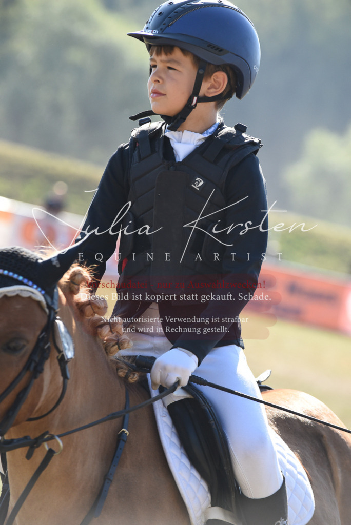 DSC_5949 | Pferde- und Turnierfotografie in Westsachsen. Pferdeportraits, Auftragszeichnungen und intuitive Kunst.