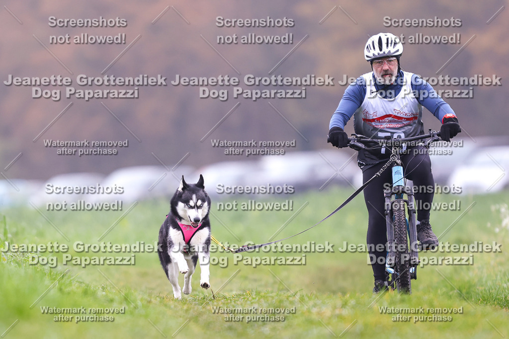 Dog Paparazzi - Visbeck 25 -255 | Dog Paparazzi Jeanette Grottendiek Fotografie & Videografie - Realisiert mit Pictrs.com