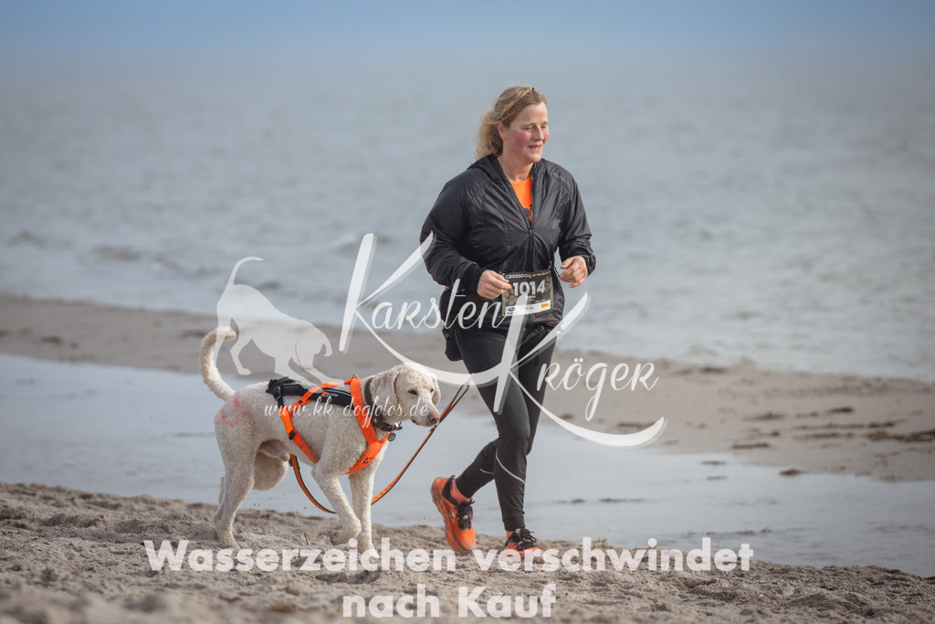 1200_ZZ93439 | kk-dogfotos