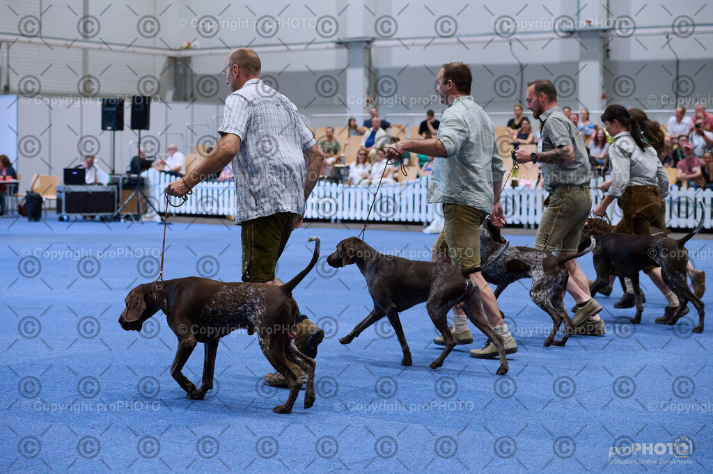 202406_ÖKV-IHA-Tulln24_DSC_3768 | proPHOTO - Realisiert mit Pictrs.com