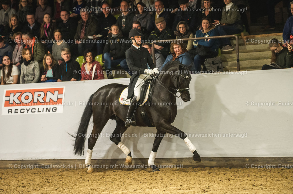 20240302_Hengstvorstellung_Marbach_TOMsPiC_1512 | equistock