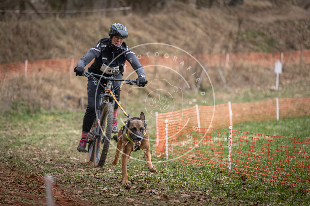 Pfotenfotografie_DV3A6257 | Hundefotografie, Tierfotograf, Pfotenfotografie, Fotoshooting Hund, Hunde Portrait, Hundesport, Hundeportraits, Heideshooting, Hunde, Sportfotograf, Hundefotograf, Turnierhundsport, THS,  - Realisiert mit Pictrs.com