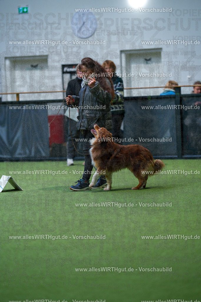 7R506195 | Professionelle Tierfotografie in Mönchengladbach von Daniel Wirth (allesWIRTHgut). Liebevolle & natürliche Bilder von Hunden & Katzen für unvergessliche Erinnerungen.