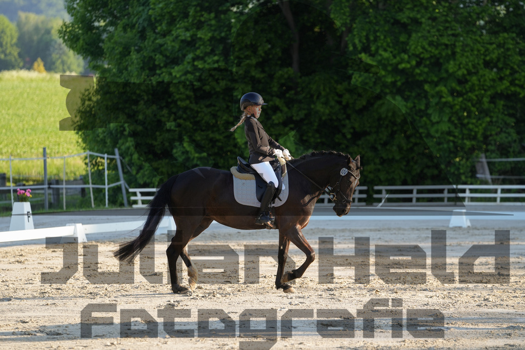 DSC02593 | Julian Held Fotografie - Realisiert mit Pictrs.com