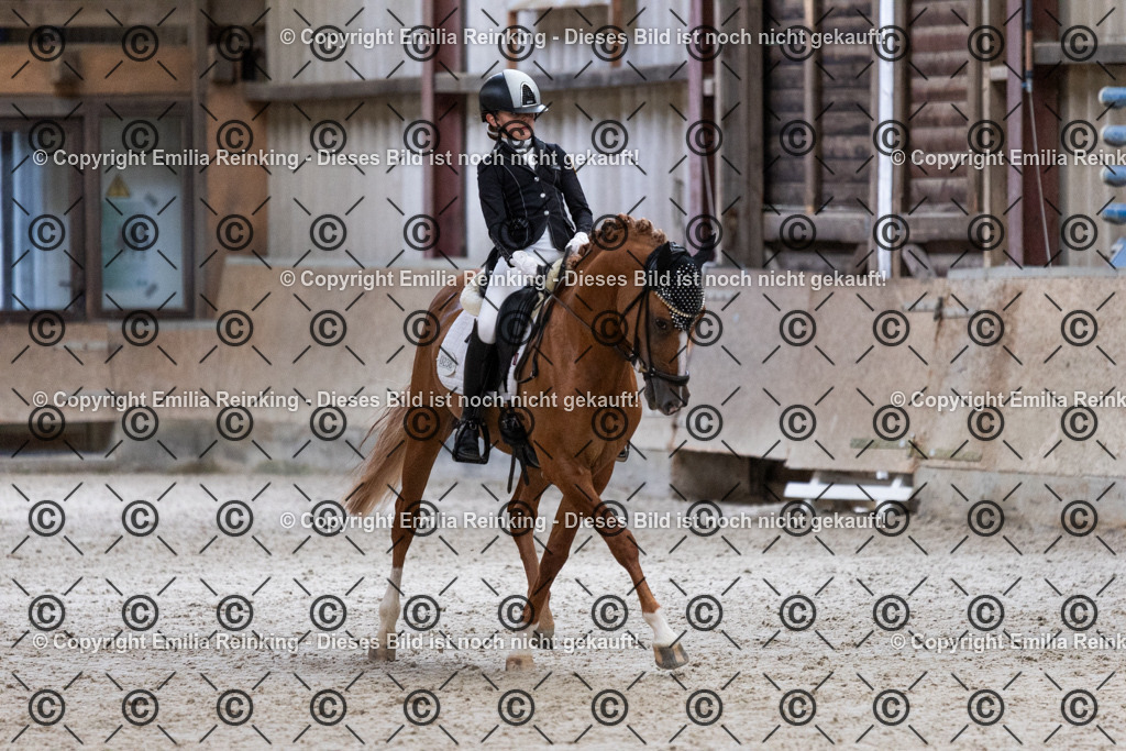 CL5A5248 | Emilia Reinking Fotografie - Realisiert mit Pictrs.com