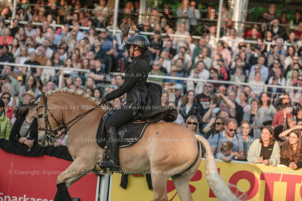 20230526_Pferdenacht_0319 | equistock
