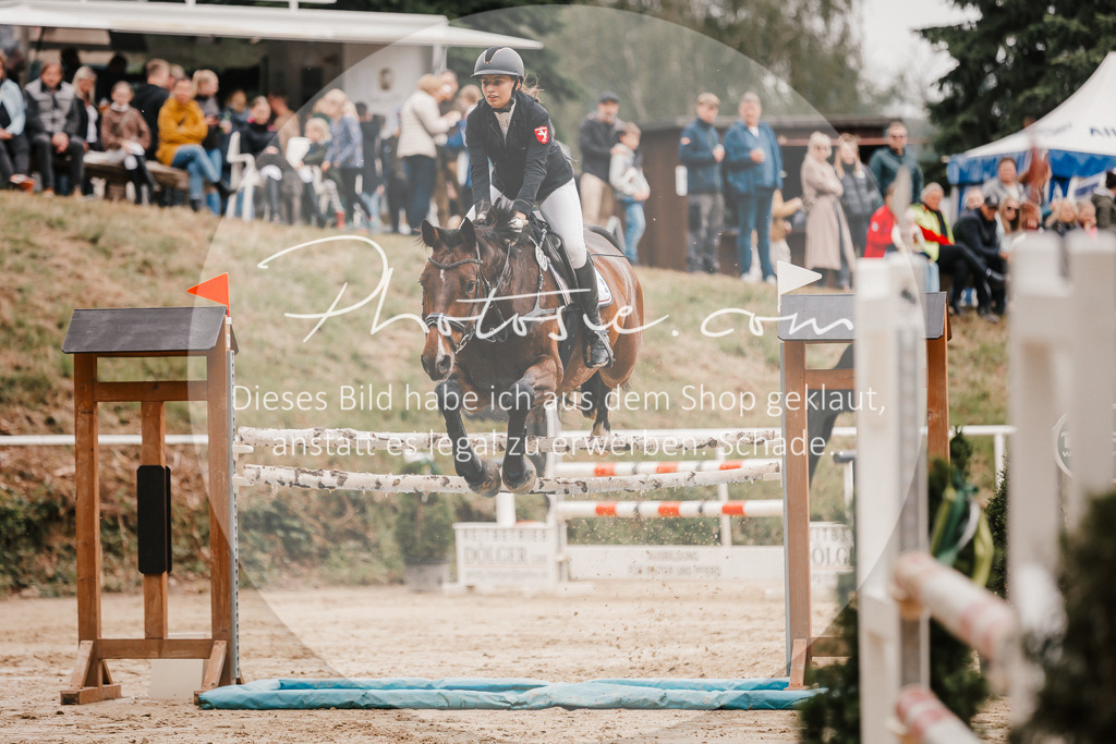 3I6A2139 | Stimmungsvolle Portraits und Reitsportfotografie im Ruhrgebiet und im Münsterland.

Pferdefotografie, Hundefotografie, Tierfotografie, Reportagen, Portraits von Tier und Mensch, Turnierfotografie in Bochum, Recklinghausen, Marl, Haltern am See, Dülmen.. - Realisiert mit Pictrs.com