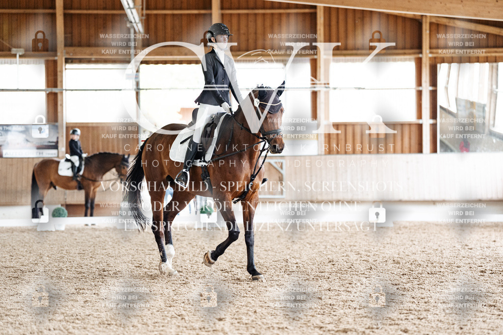CK900678 | Turnierfotografie Pferdefotografie Trier Rheinland-Pfalz Pferdesport Reitsport Tierfotografie Sportfotografie Pferdevideo Pferdevideografie Equestrianvideography equestrianphotography  - Realisiert mit Pictrs.com