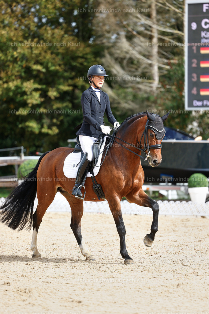 05-146-DRESSUR M_  -StoibPH-4946 | working equitationturnier fotograf videograf stoibphotography marixx film working equitation deutschland reitsport turnierfotografie eventfotografie equestrian events