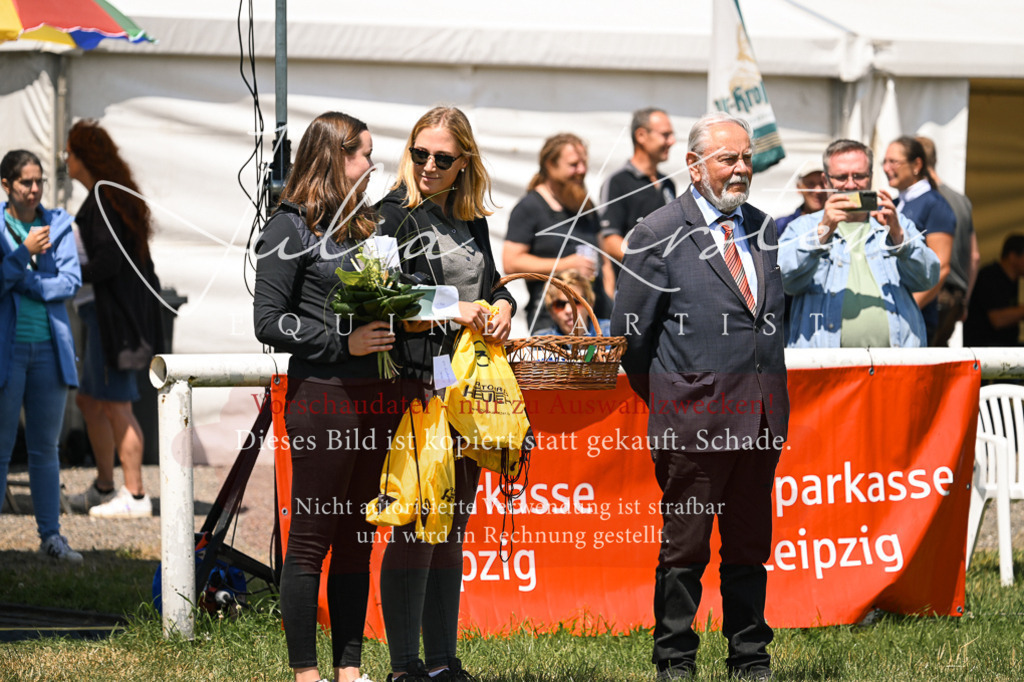 DSC_9384 | Pferde- und Turnierfotografie in Westsachsen. Pferdeportraits, Auftragszeichnungen und intuitive Kunst.