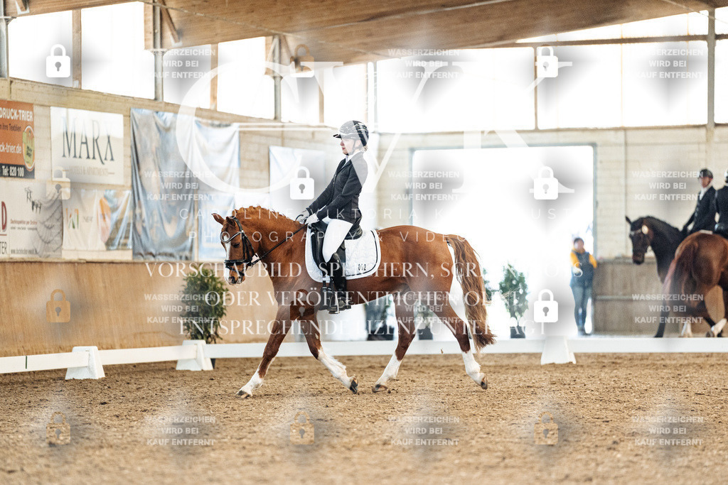 CK908915 | Turnierfotografie Pferdefotografie Trier Rheinland-Pfalz Pferdesport Reitsport Tierfotografie Sportfotografie Pferdevideo Pferdevideografie Equestrianvideography equestrianphotography  - Realisiert mit Pictrs.com