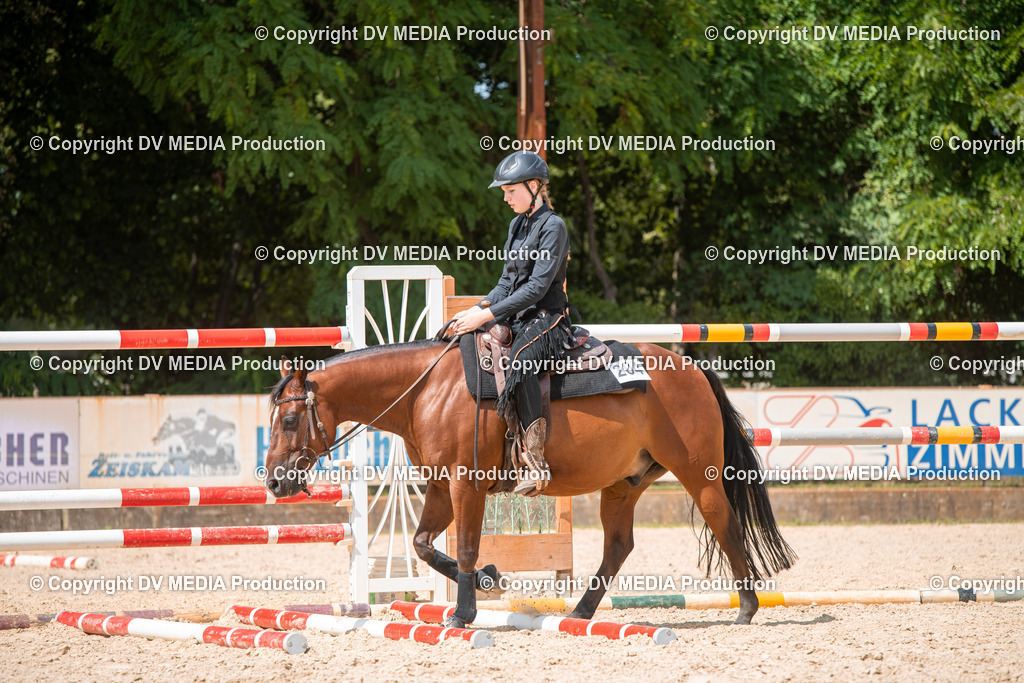 EWP_6676 | dv-media-shop - Realisiert mit Pictrs.com