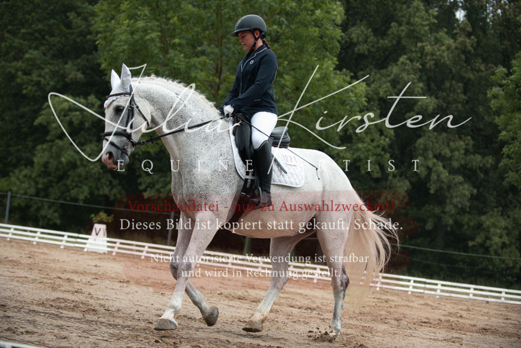 DSC_9681 | Pferde- und Turnierfotografie in Westsachsen. Pferdeportraits, Auftragszeichnungen und intuitive Kunst.