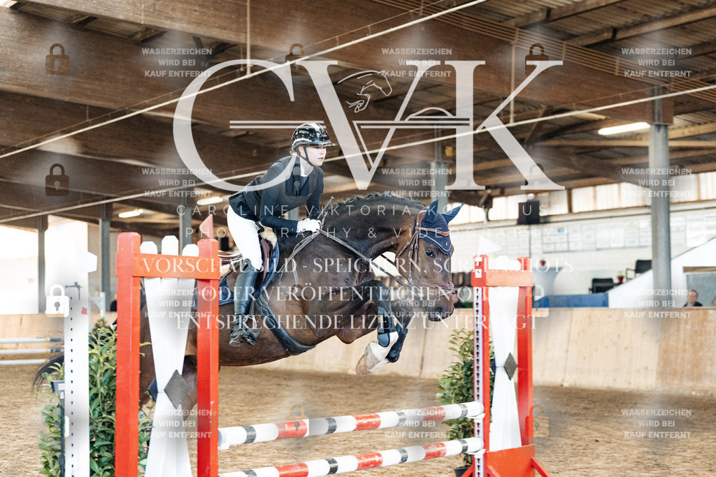 CK903821 | Turnierfotografie Pferdefotografie Trier Rheinland-Pfalz Pferdesport Reitsport Tierfotografie Sportfotografie Pferdevideo Pferdevideografie Equestrianvideography equestrianphotography  - Realized with Pictrs.com