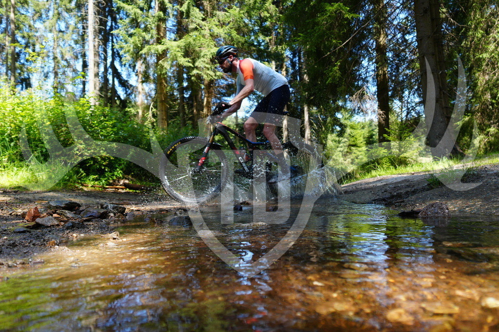 FC604616 | Fotogalerie der Treibjagd im Dunkelwald - Dein MTB Etappenrennen im Erzgebirge - Realisiert mit Pictrs.com