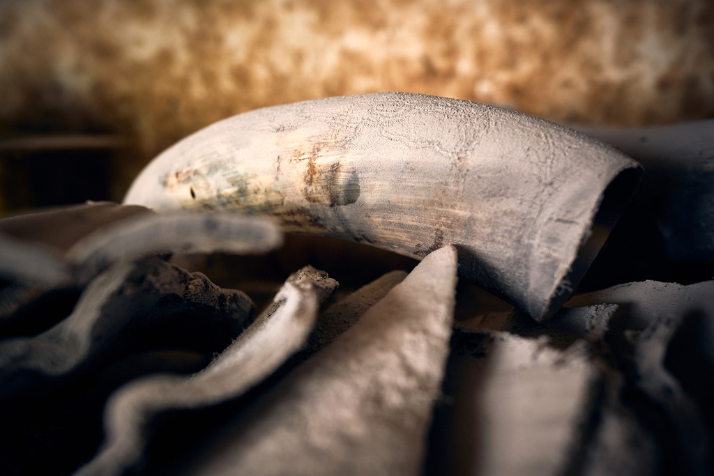 Hornmanufaktur; Hornteile im Lager | Wien, Austria - August 09, 2022; Hornmanufaktur Thomas Petz; Hornmanufaktur; Hornteile im Lager. - Realisiert mit Pictrs.com