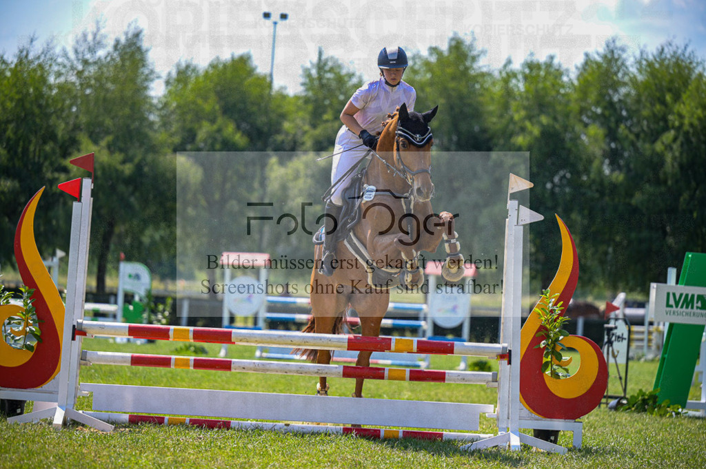 Reitturnier Voxtrup | Entdecke hochwertige Reitturnierfotos von Foto Oger. Professionell, emotional und authentisch – jetzt Lieblingsmomente im Shop bestellen.Deutschlandweite Turnierfotografie. - Realisiert mit Pictrs.com